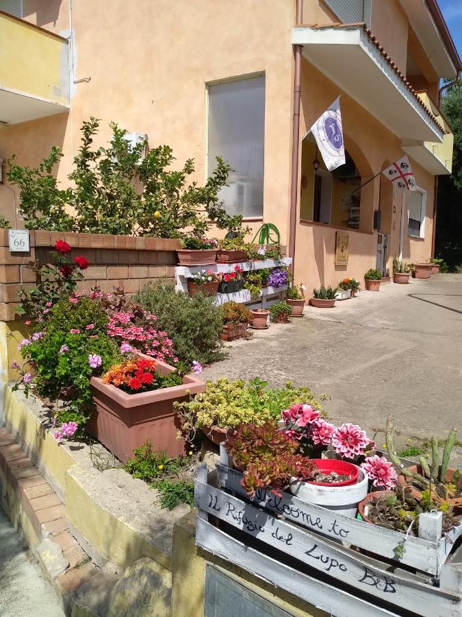 B&B Il Rifugio Del Lupo - E6721 Paringianu Buitenkant foto